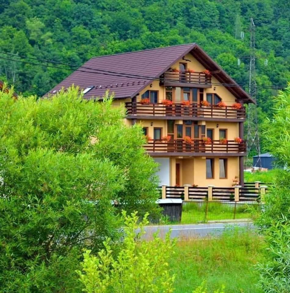 Hotel Casa Vadeanu Sighetu Marmaţiei Exterior foto